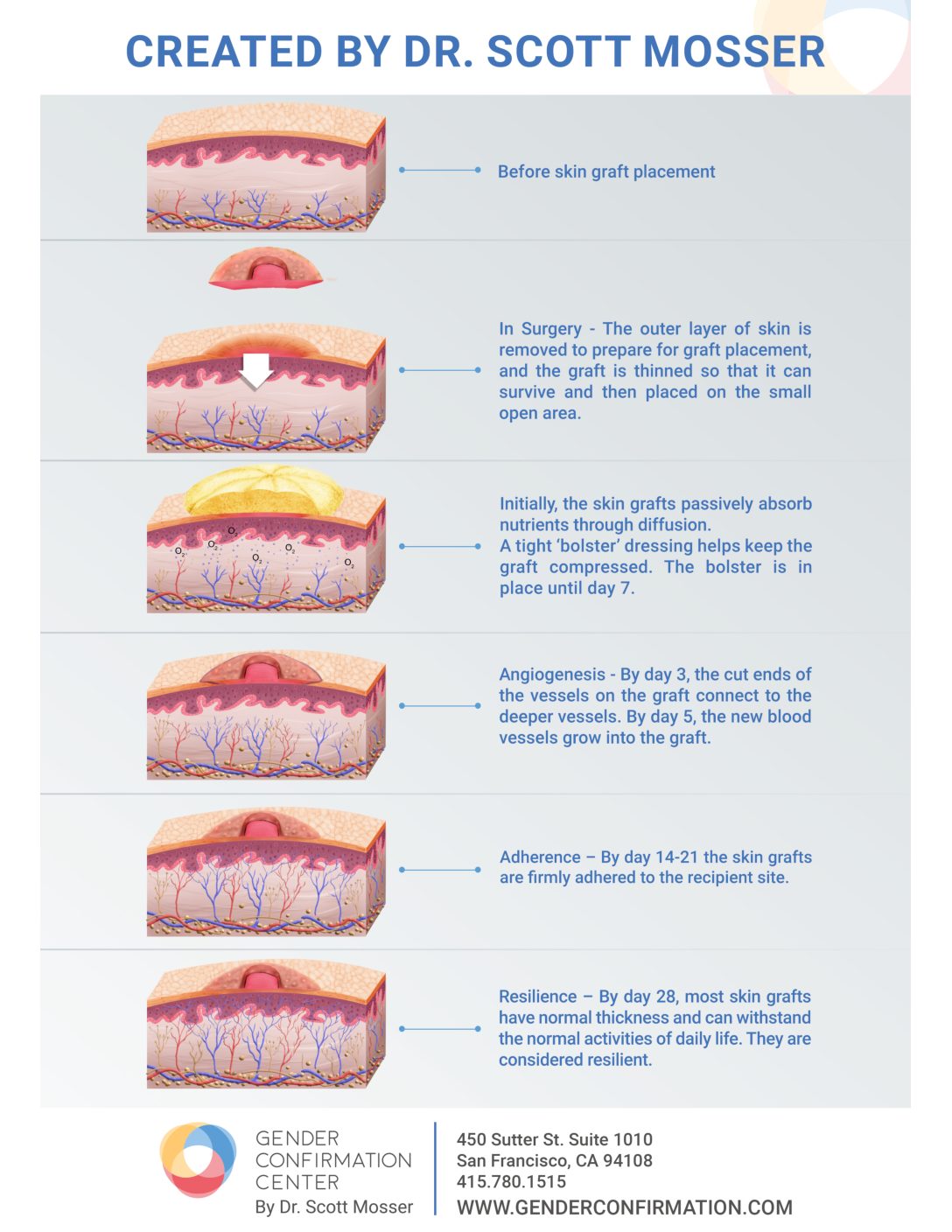 The Procedure Of The Skin