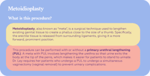 ftm bottom surgery: vaginectomy