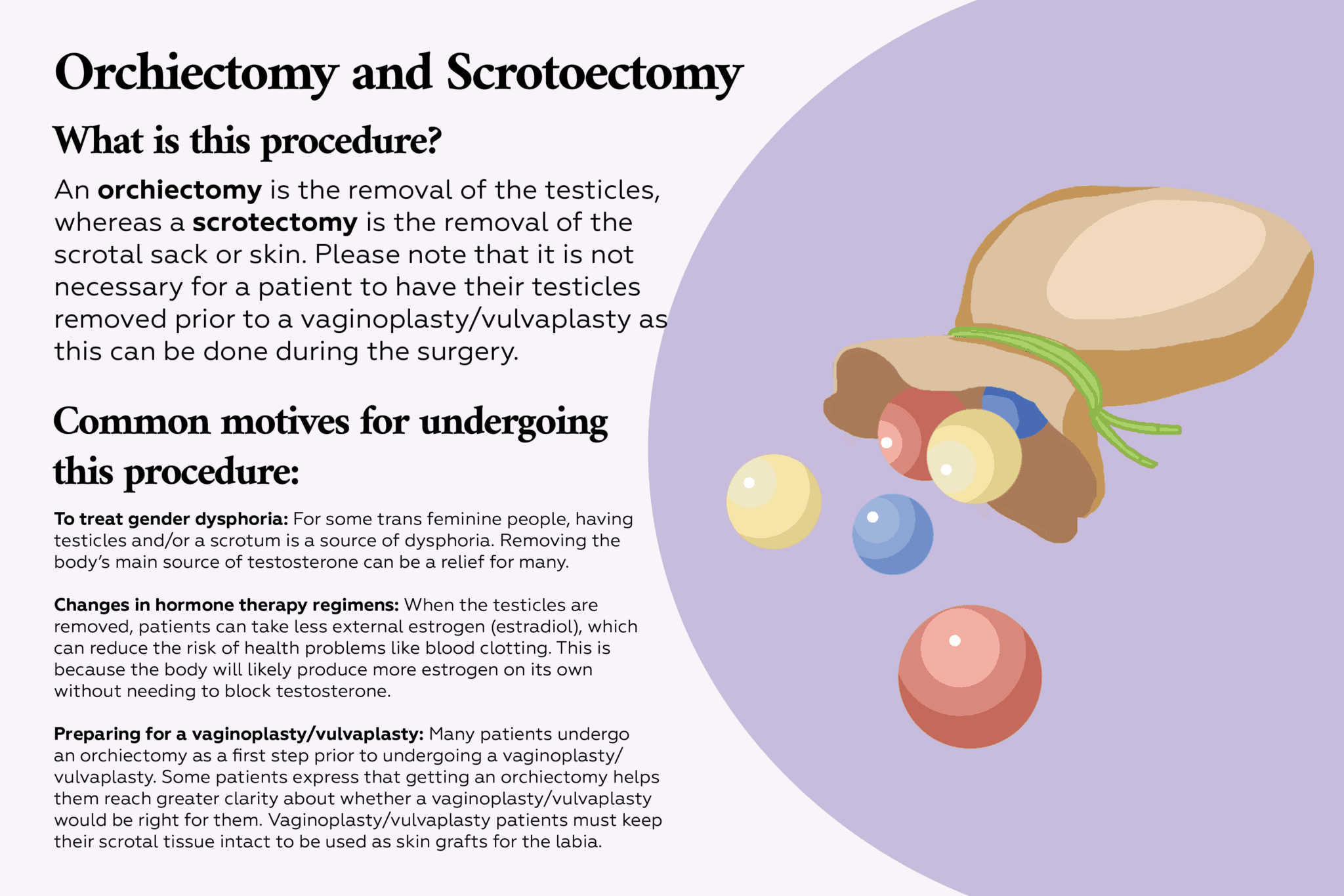 Nullify Surgery The Definitive Guide to MTF Bottom Surgery - Gender Confirmation