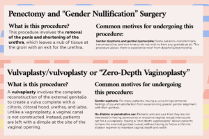 Penectomy & Gender Nullification: procedure details & motives